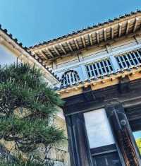 日本行·神戶周邊姬路城。
藍天下如白鷺高飛
