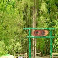 香港動植物公園深度遊｜鬧市綠洲的慢時光探索之旅