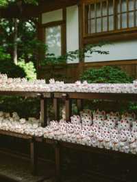 東京豪德寺交通全攻略：尋訪「招財貓故鄉」的清幽路徑 