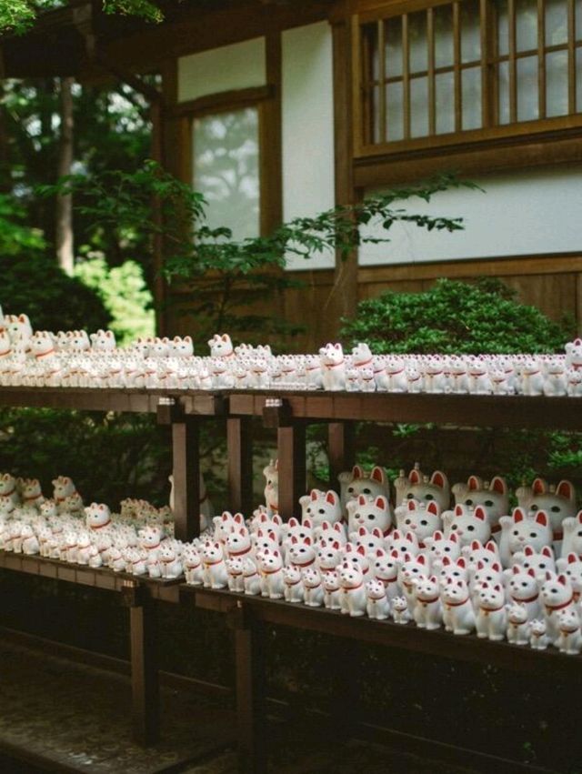 東京豪德寺交通全攻略：尋訪「招財貓故鄉」的清幽路徑 