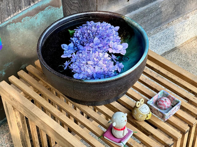 東京新宿 | 隱藏的繡球花祕境