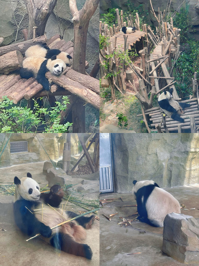 西安出發，親子遊自駕路線，人少有趣遛娃寶藏路線