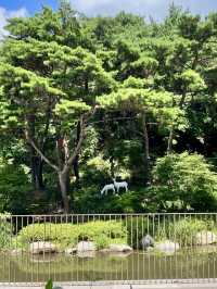 林間泉語・首爾近郊森林溫泉一日微旅