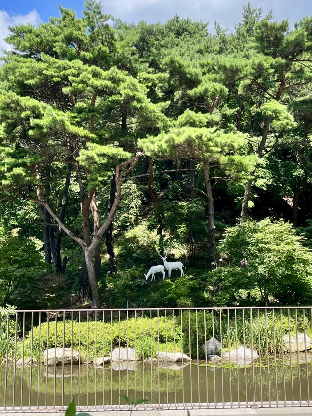林間泉語・首爾近郊森林溫泉一日微旅