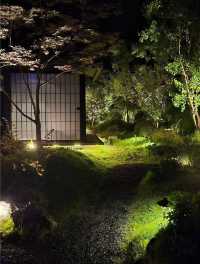 避世歸隱一庭一湯，一屋一景