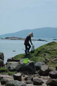 流水碼頭｜福建小眾趕海地