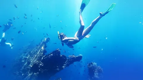 「シャーク湾・潮汐の生きた地質詩」 — traveler post in デナム