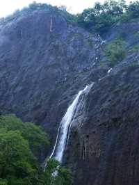 雨季武夷山玩法（6月親測！）