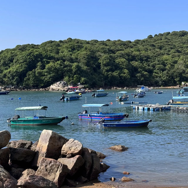 📍【塔門島｜帶定港紙同八達通先！】