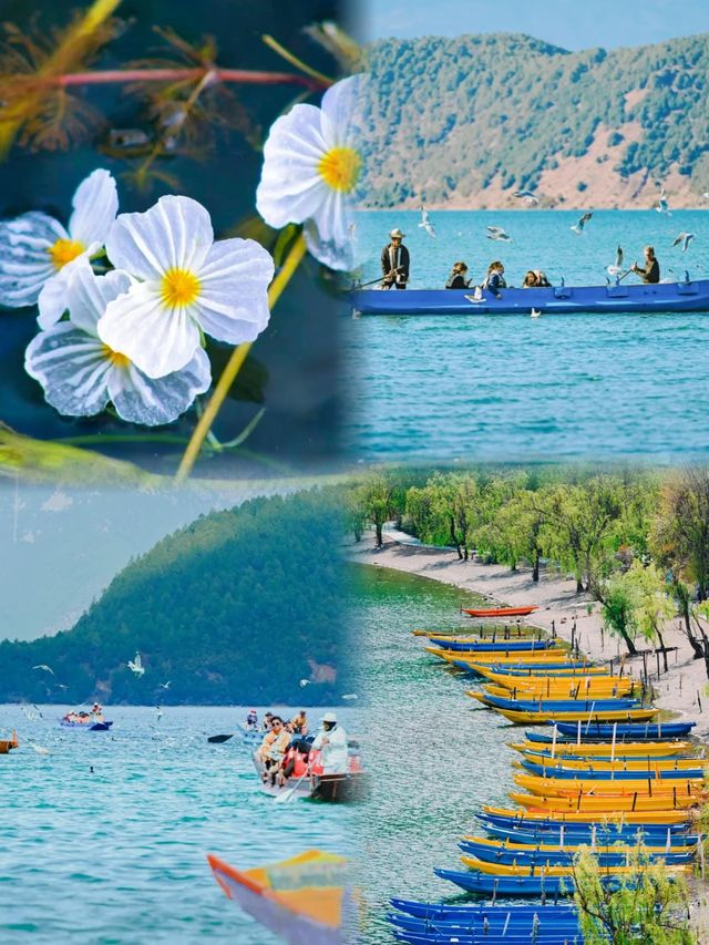 瀘沽湖湖景第一排｜三色雲河超驚喜體驗