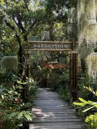曼谷咖啡廳神級打卡｜Nature Cafe 承包湄南河森系慢生活☕️