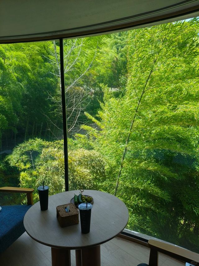 七八月嘅莫干山，係23℃嘅綠野仙蹤。