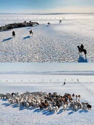 Only know about the Village Super League? Xilingol has its own Horse Super League! Come and see!