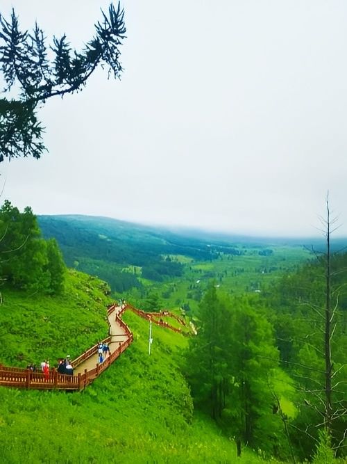 阿爾山夏季限定｜20℃天然氧吧，闖進治癒系森林童話！