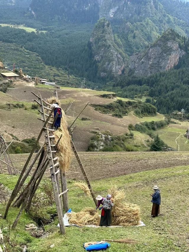 甘南嘅魅力在於「藏區景觀嘅濃縮」——唔使忍受西藏嘅高山反應……
