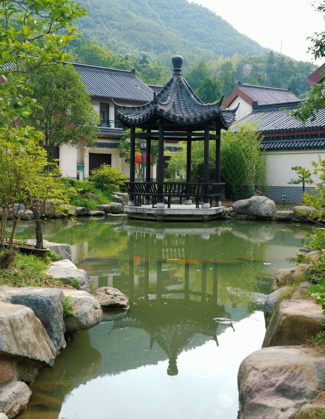 金寨深山現民宿，傳統徽派遇現代客，遊客評價褒貶不一？