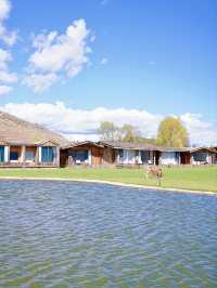 治癒系度假民宿，香格里拉必住嘅木屋！
