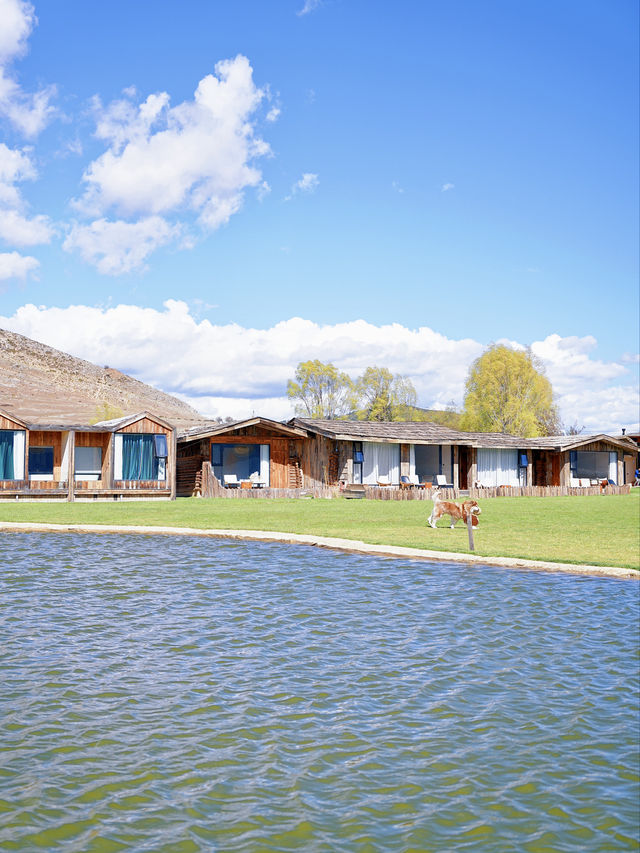 治癒系度假民宿，香格里拉必住嘅木屋！