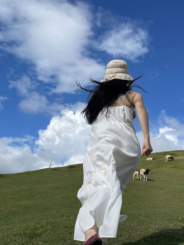 初夏的呼倫貝爾才是人間理想