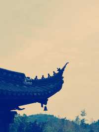 蘇州法螺寺 佛系旅遊の楽園