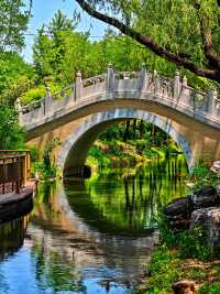 【北塢公園】漫步稻浪與古橋間