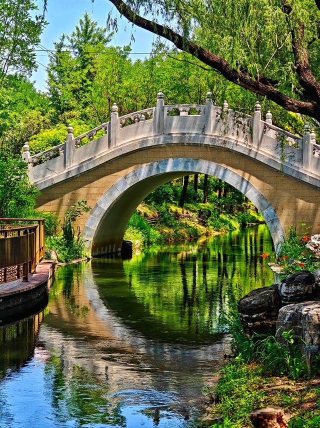 【北塢公園】漫步稻浪與古橋間