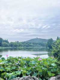 「太湖佳絕處，畢竟在黿頭」