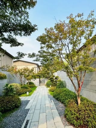 Suzhou Lion Mountain Banyan Tree