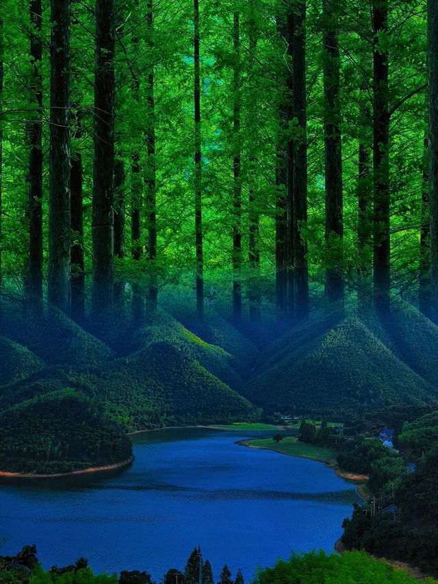 山水之間千島湖