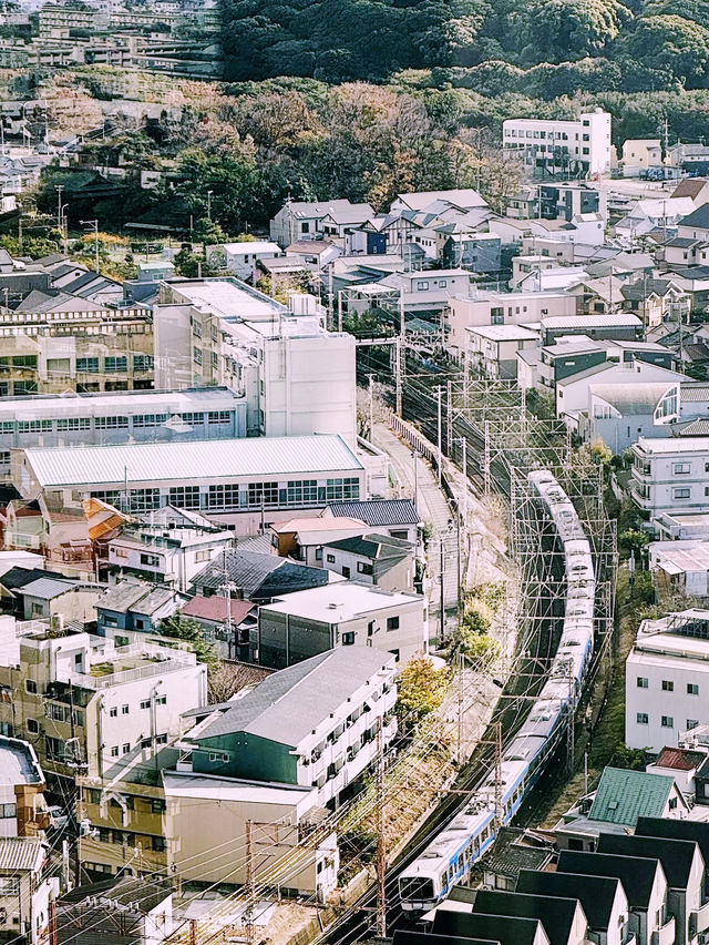 **【大阪堺市：千年古都的現代魅力】**  