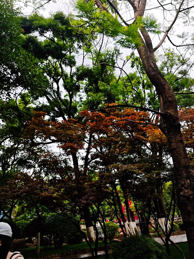 雲南之旅