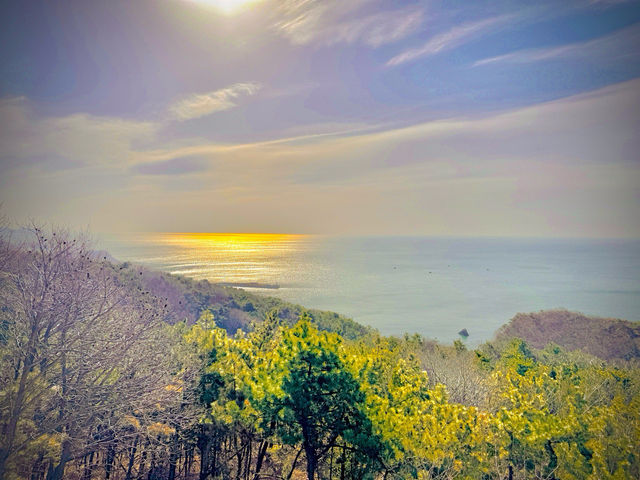 大連濱海路係呢座城市最浪漫嘅風景線之一，蜿蜒40公里串聯山海
