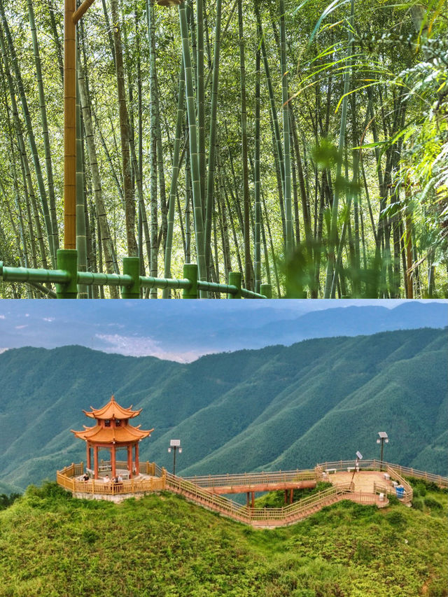 山水雙合+馬安竹海，沉浸式吸氧之旅