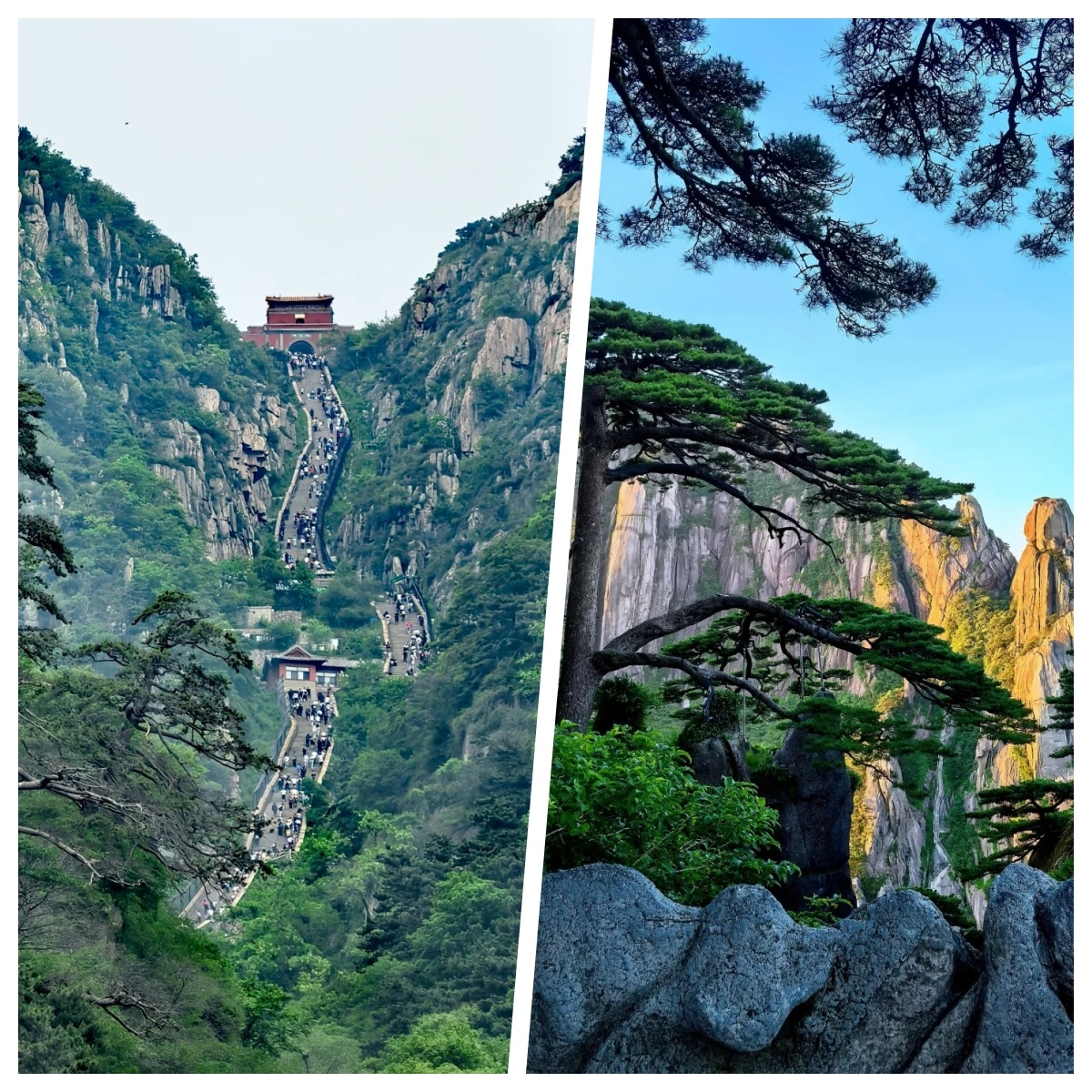 Mount Tai is incredibly beautiful, but I honestly don’t recommend going in August because...........