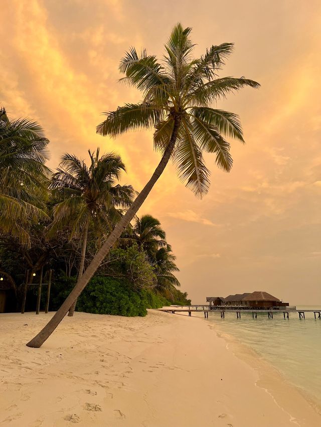 Exceptional Stay at Conrad Maldives Rangali Island