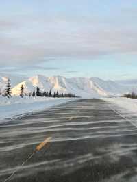 A Magical Arctic Spectacle