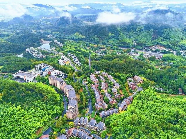 秋天總要去山裡走一走的吧！當然是去安吉了……