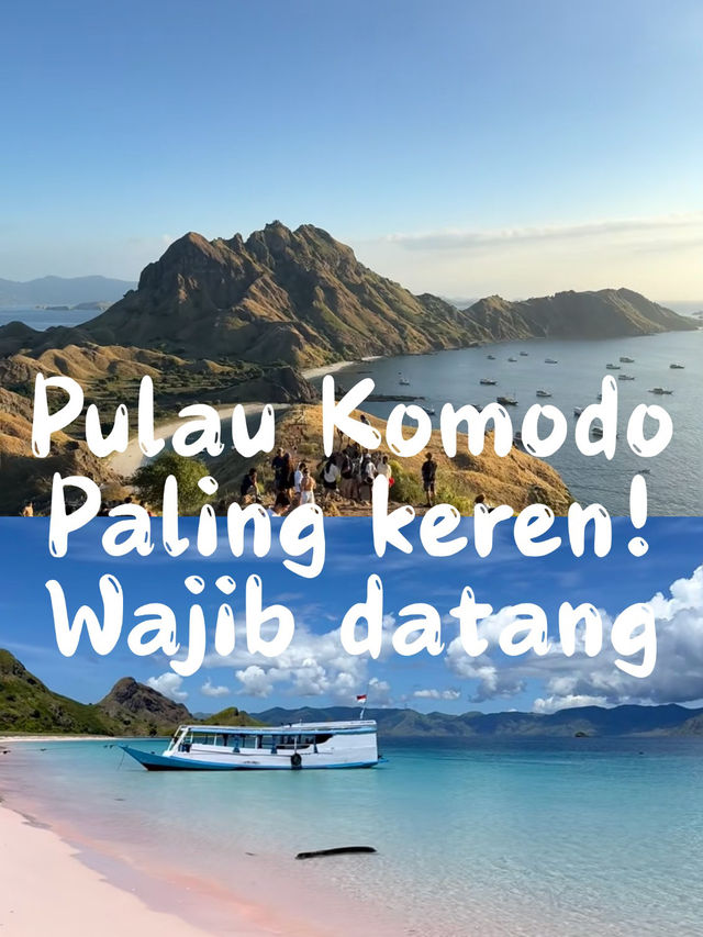 🦎 PETUALANGAN SERU DI PULAU KOMODO