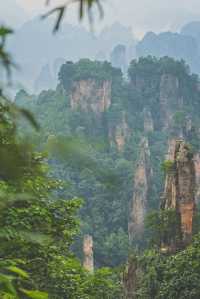 為了張家界的雲霧山景，我租車追了300公里