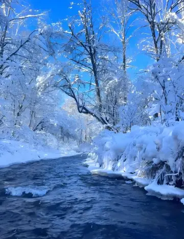 長白山冬季霧淞漂流開啟