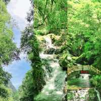 【重慶黑山谷｜夏日清涼秘境全攻略】
