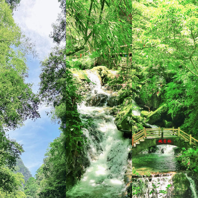 【重慶黑山谷｜夏日清涼秘境全攻略】