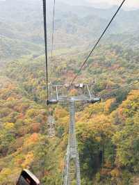 國慶別亂跑！四川這座山把秋天染成紅色海洋，《國家地理》都誇爆