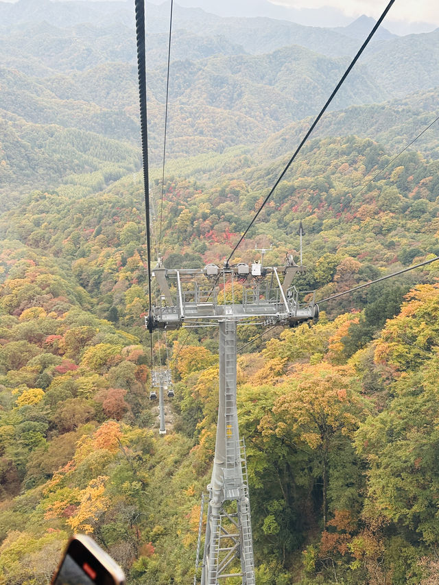 國慶別亂跑！四川這座山把秋天染成紅色海洋，《國家地理》都誇爆