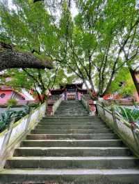 打卡金堂開照寺｜藏在成都的絕美佛門淨地