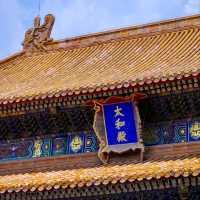 北京故宮完全攻略🏯初訪りでも安心！