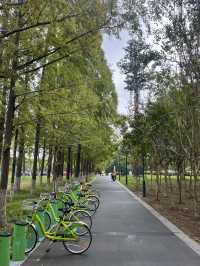 東沙湖生態公園