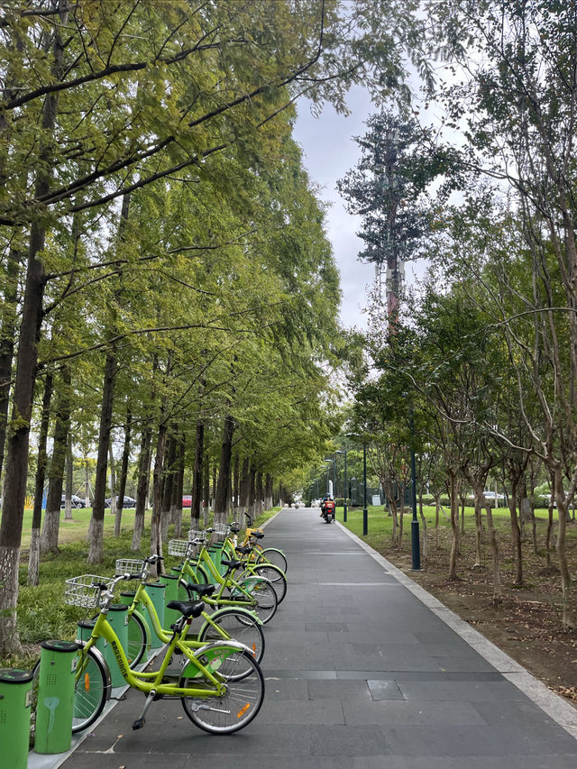 東沙湖生態公園