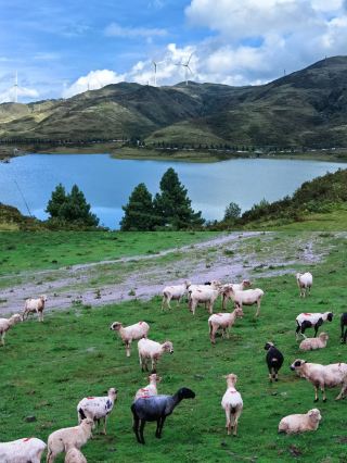A complete guide to the fairyland Wumeng Grassland on the Yunnan-Guizhou Plateau is here!