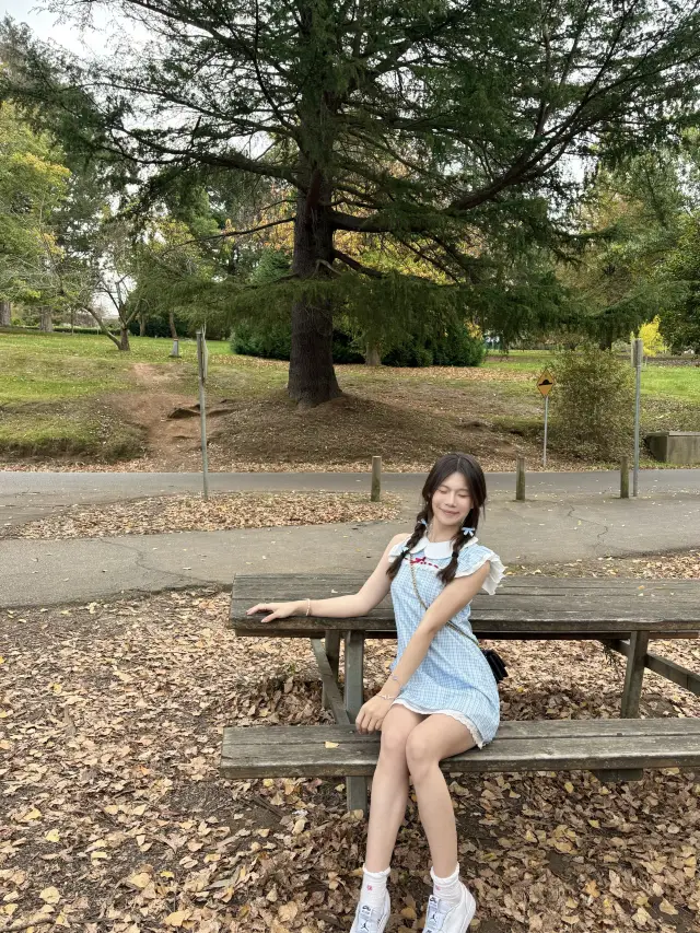 Melbourne｜Hop on the Little Train to the Magical World